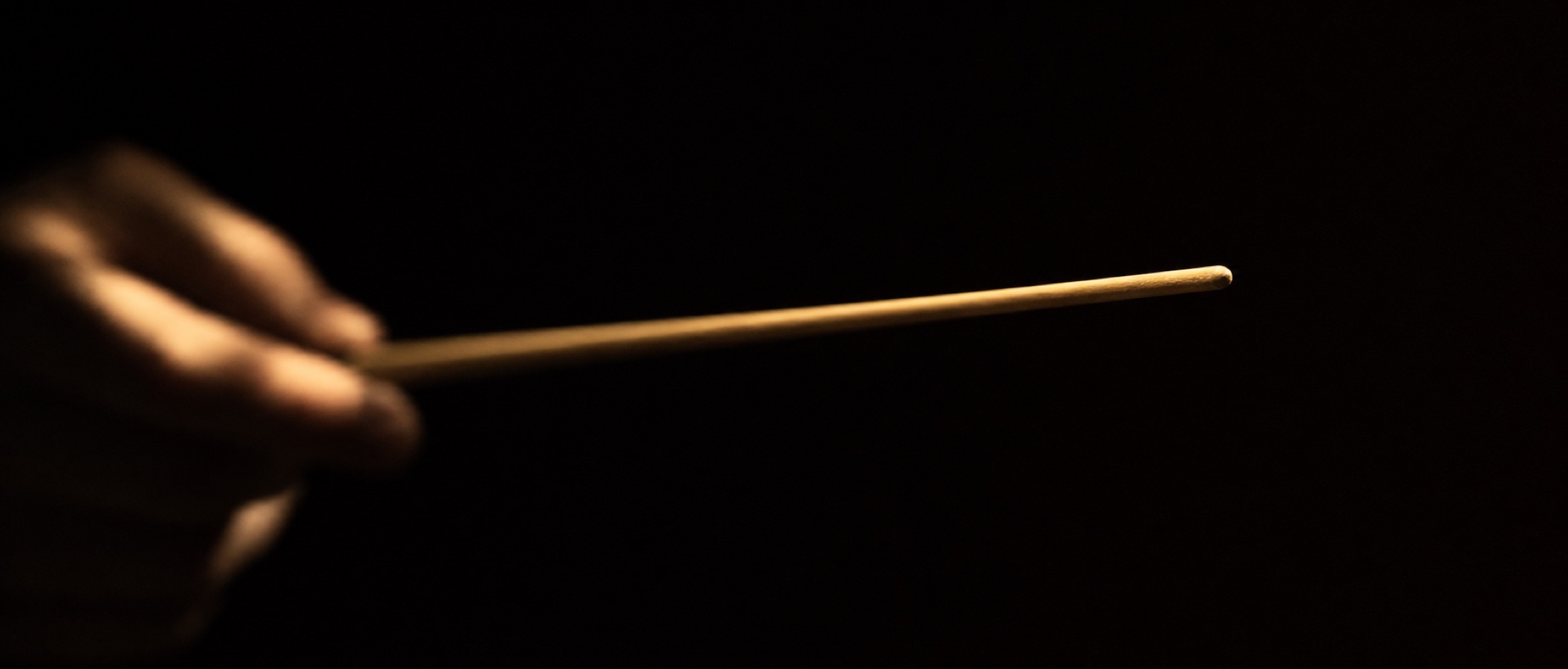 A conductor's baton in low gold light
